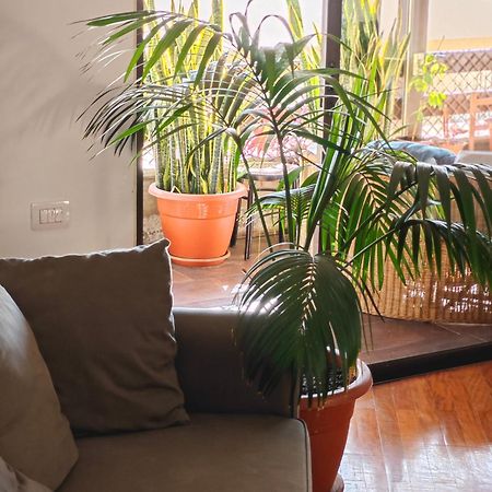 Bed and Breakfast Casa Compartida Weyler Santa Cruz de Tenerife Exterior foto