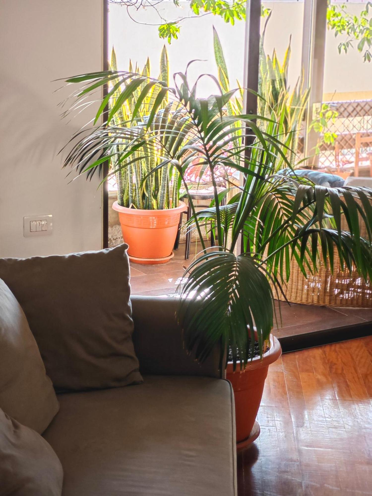 Bed and Breakfast Casa Compartida Weyler Santa Cruz de Tenerife Exterior foto